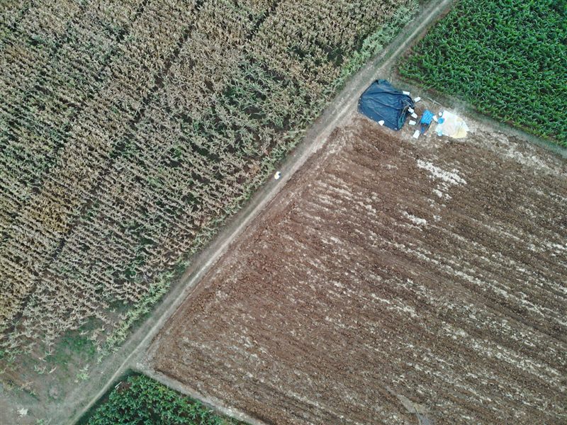 Aerial view of a drone seed-broadcast operation