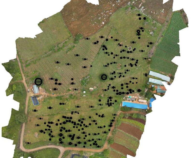 Orthomosaic map output from a drone survey