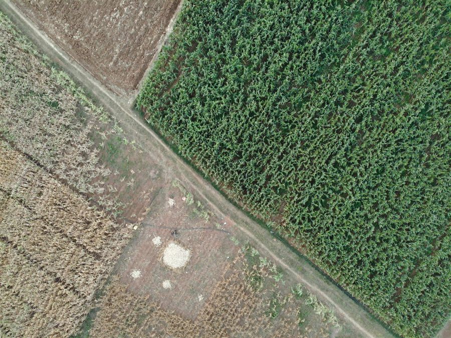 Aerial corridor capture